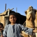 market_camel_embaba_cai_h_0064_egy0327.jpg